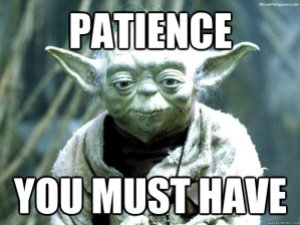 patience yoda